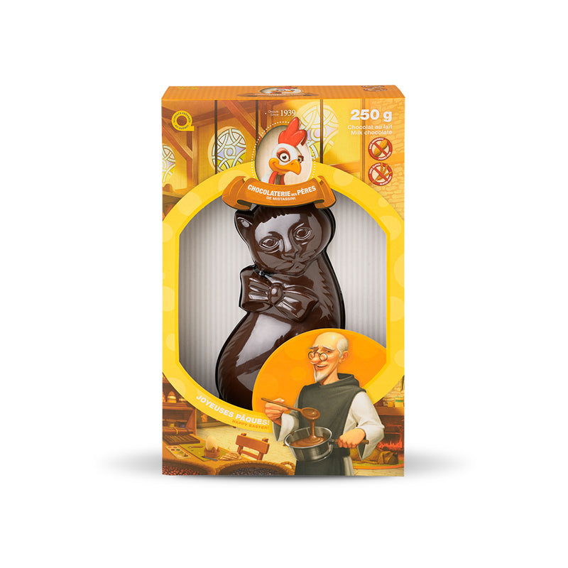 Chat - chocolat au lait